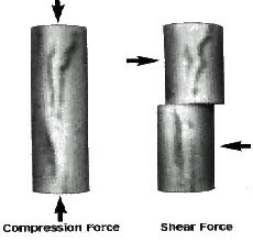 Figure 3 - Joint Forces